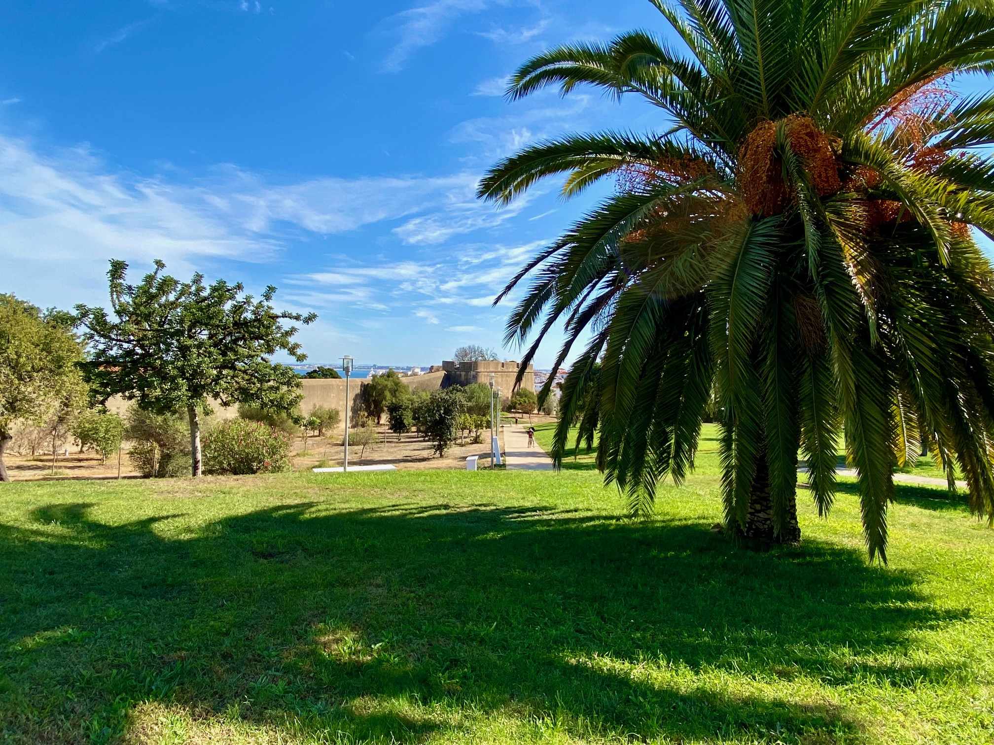 Lagos, Portugal – Day 27 (Morning Workout, JuliFoto, Frente y Verso Print Shop, Post Office)