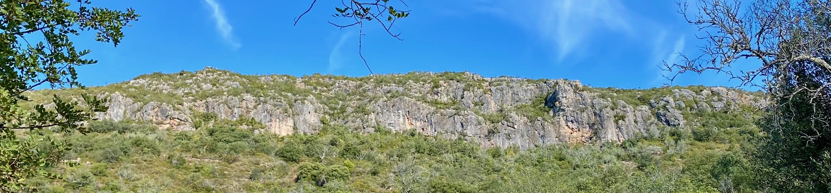 Rock Climbing/ Camping Trip – Day 40