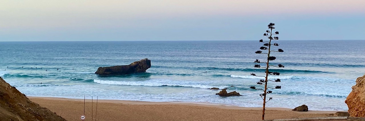 Lagos, Portugal – Day 59 (Surfing Praia do Tonel and Mayday Algarve Dog Shelter)