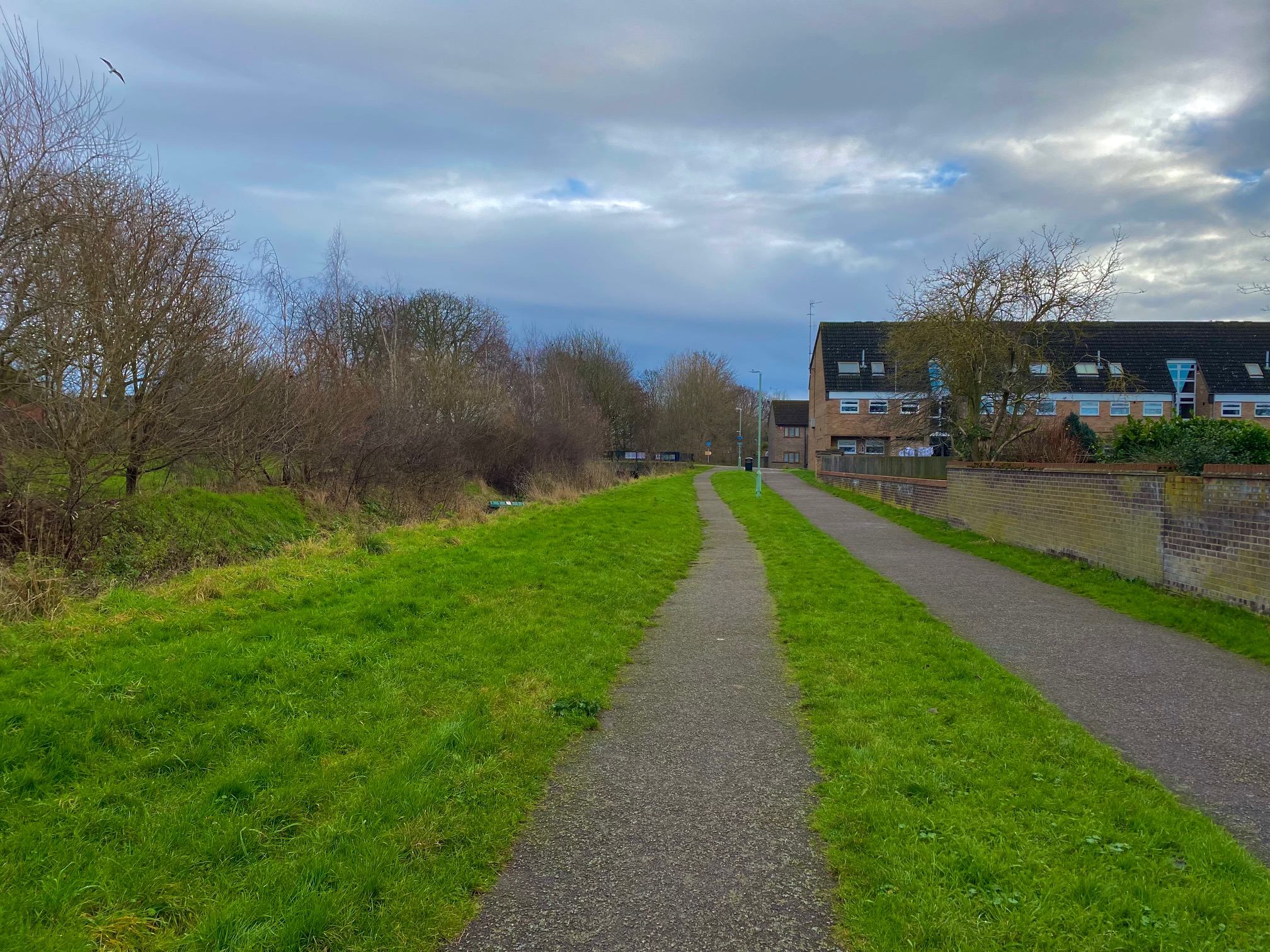 Newmarket, UK – Day 98 (Aldi, Pets at Home, and Running)
