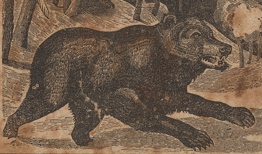 Financial Updates & How We are Managing the Bear Market  (Did we retire at the worst time possible?)