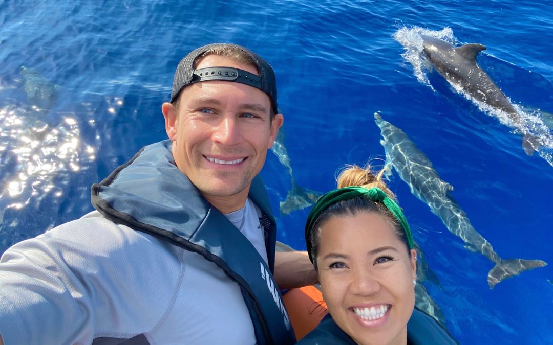Whale & Dolphin Watching in Madiera!