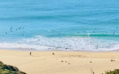 The Dark Side of Surf Culture and Surgery in Portugal