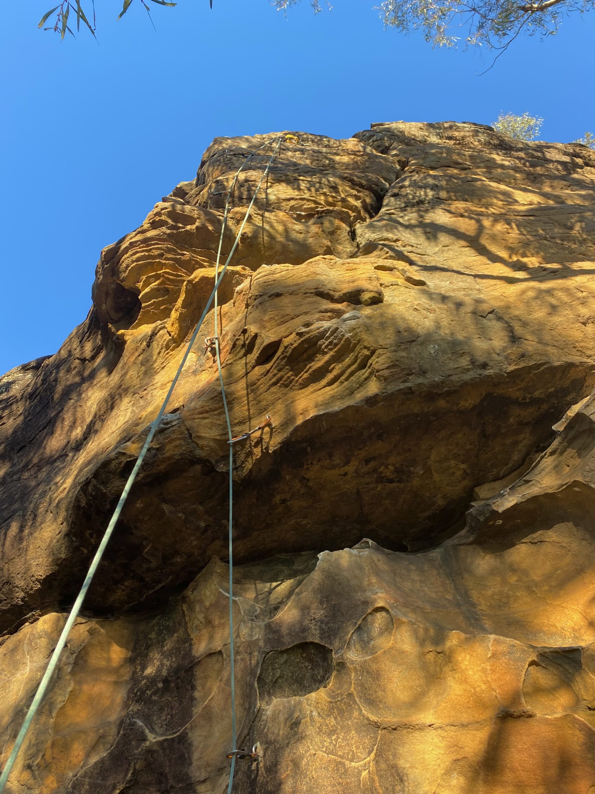 Berowra Rock Climbing