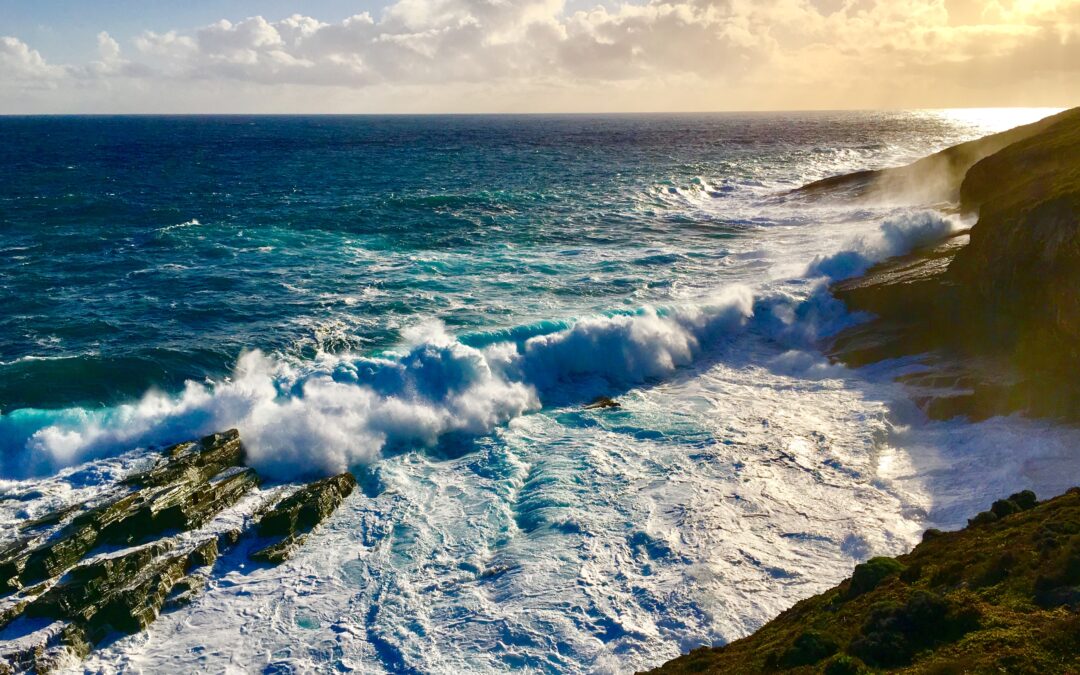 Financial Checkpoint – Full Year 2024 (Net Worth/Budget/Withdrawal Rate vs SWR)